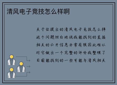 清风电子竞技怎么样啊